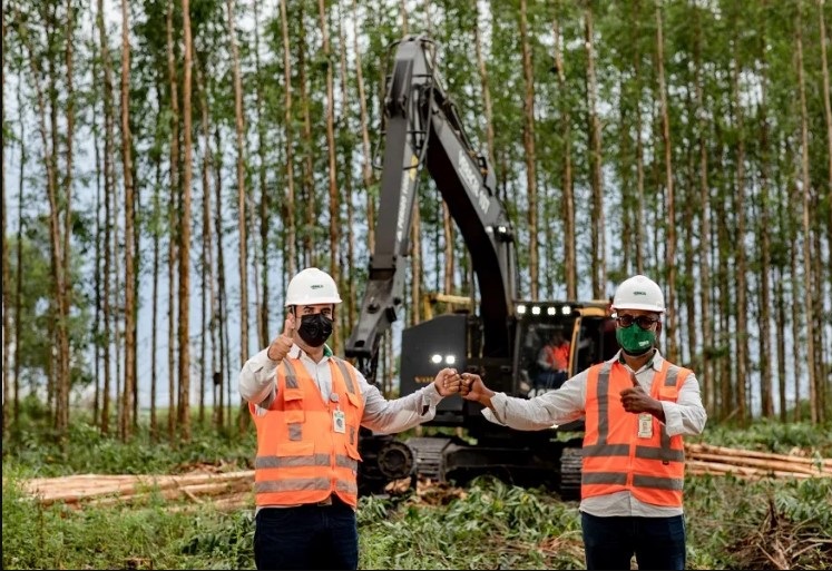 Veracel Investindo Na Bahia E Levando Celulose Para O Mundo Inewsbr