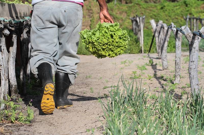 agricultura familiar